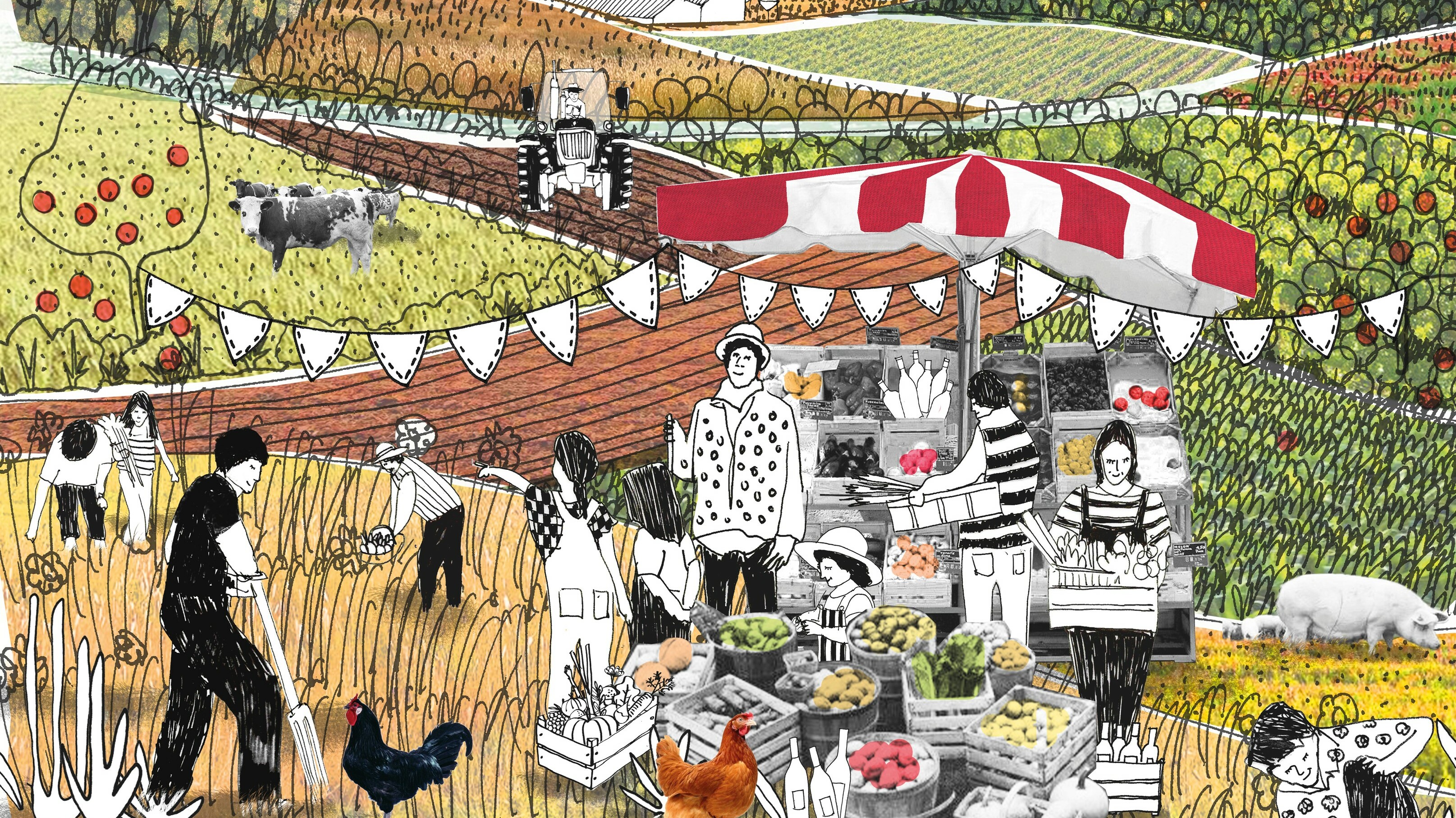 Cette illustration colorée et détaillée représente un marché fermier animé au milieu d'une campagne vallonnée. Au premier plan, des agriculteurs récoltent des légumes et s'occupent des animaux, notamment des poules et un cochon. Un stand de marché avec une tente rayée rouge et blanche est rempli de divers produits frais comme des légumes, fruits, œufs et fromages. En arrière-plan, on aperçoit un tracteur labourant les champs, des vaches paissant dans les pâturages verdoyants, ainsi que des collines couvertes de vignobles et d'arbres fruitiers. La scène dégage une atmosphère rurale paisible et prospère.